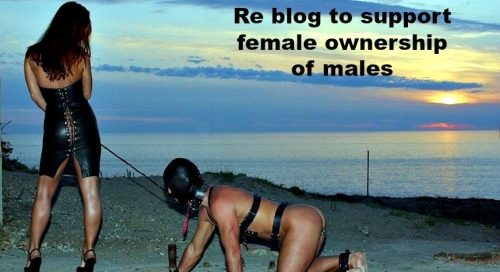 boyatherservice: Every Female is superior to every male. Just... 5