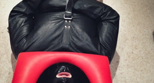 mistr3ss-l: My real life D/s relationship: Introducing the new... 5