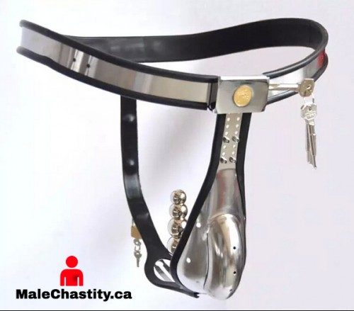 2016 Male Model T Curve Waist Adjustable Stainless Steel Chastity Belt Large Scrotum Groove Cock Penis Cage With Anal butt Plug Bdsm Sex Toy 500x439 3