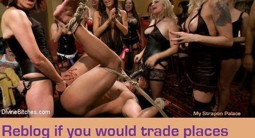 goddessandcucky:
lyndseygurl: sissydonna: sissydonna: Where... 8