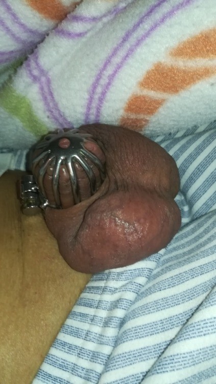 pedrosub66:Just some pics of me waking up with the cage on 3 tumblr ozoy3jevBi1rvbecuo1 500
