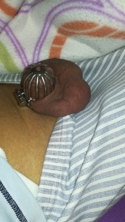 pedrosub66:Just some pics of me waking up with the cage on 5 tumblr ozoy3jevBi1rvbecuo3 500
