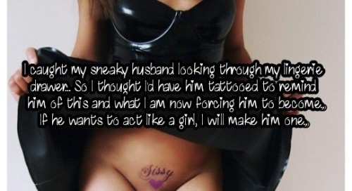 mistressandtranslesbiannatalie:It will be interesting when I... 7