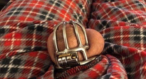 pennlockedboy:
Relaxing, day 5 locked in my cage. Have plans to... 2