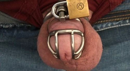 anonmouse93:My tiny cocklette 🔒 for a new Keyholder. 10 days in... 6