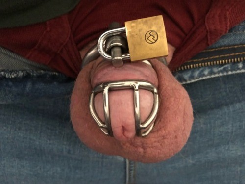 anonmouse93:My tiny cocklette 🔒 for a new Keyholder. 10 days in... 3 tumblr p3jkoni8MA1st1ckbo1 500