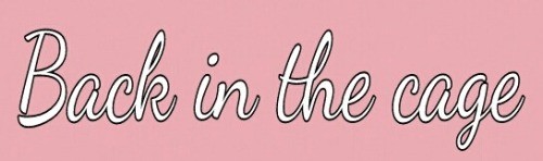 Don’t look so sad, little Sissy. The year goes by... 4 tumblr p6uyakFWfc1viv7dyo2 500