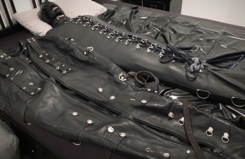 tumblgear: You should head over to @seabondagesadist for a more... 5