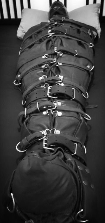 tumblgear: You should head over to @seabondagesadist for a more... 6