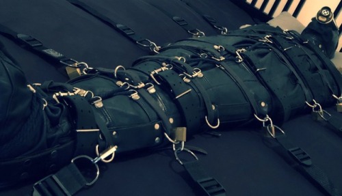 tumblgear: You should head over to @seabondagesadist for a more... 7