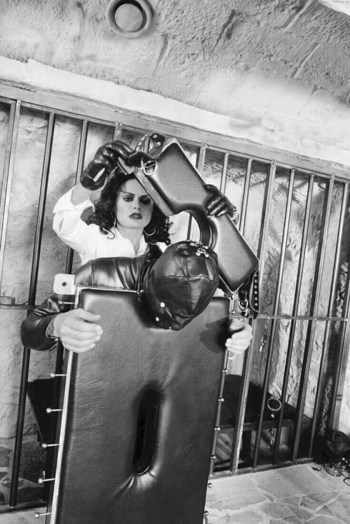 misterbagoo: « La vie au donjon »
…très prochainement, chez... 2 tumblr p96eqfHebI1vvow1po1 500