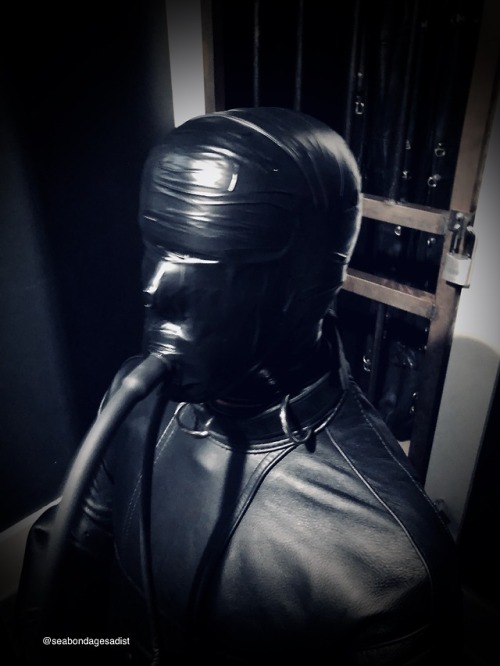 seabondagesadist:I decided with @steveloveskink‘s help what to... 4 tumblr pe5cg4y45D1uukgz5o3 500 1