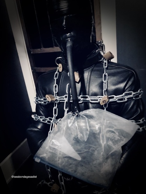seabondagesadist:I decided with @steveloveskink‘s help what to... 9 tumblr pe5cg4y45D1uukgz5o9 500 1