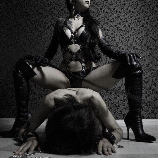 tumblr pnhossVuPV1tg6w8v 540 1