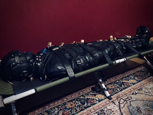 seabondagesadist:The last thing I got to do with @steveloveskink... 9 tumblr pe5fbkBPsT1uukgz5o6 500