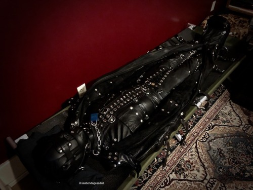 seabondagesadist:The last thing I got to do with @steveloveskink... 6 tumblr pe5fbkBPsT1uukgz5o8 500