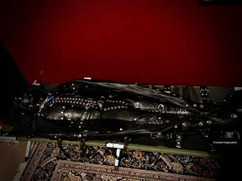 seabondagesadist:The last thing I got to do with @steveloveskink... 5 tumblr pe5fbkBPsT1uukgz5o9 500