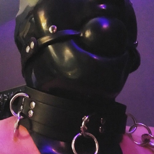 tumblr pcdi60uhOo1stbhdio1 500 1