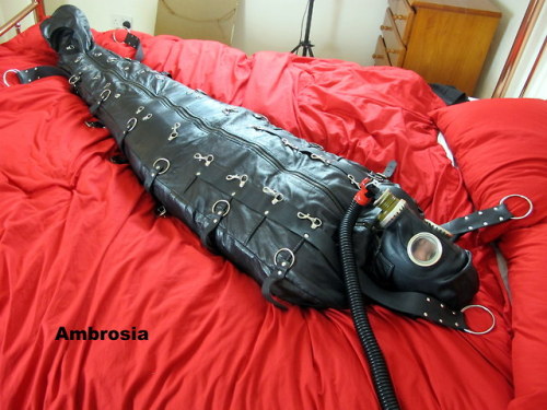 britbastard: A new(ish) model tries out a favourite piece of... 2 tumblr pi8r4eEfYU1rwz5j0o1 500