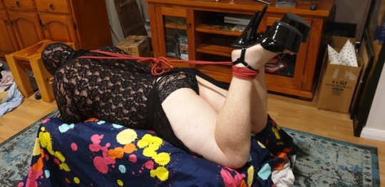 tumblr prsswgSTmG1w1j2cx 540 1