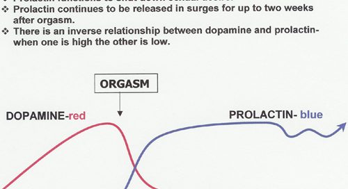 Thoughts on Chastity 3