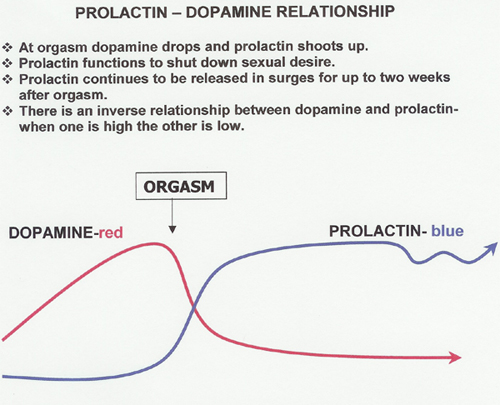 prolactin 1