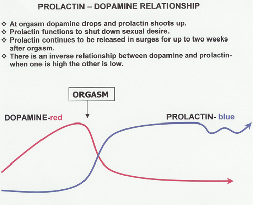 Thoughts on Chastity 2 Prolactin-Dopamine relationship chart