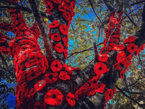 f4decc9e6dd6092dfe7ee07675fc404407b78efd 1