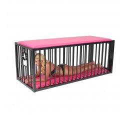 Dungeon Furniture Upgrades Incoming! 2 BDSM Liegekaefige