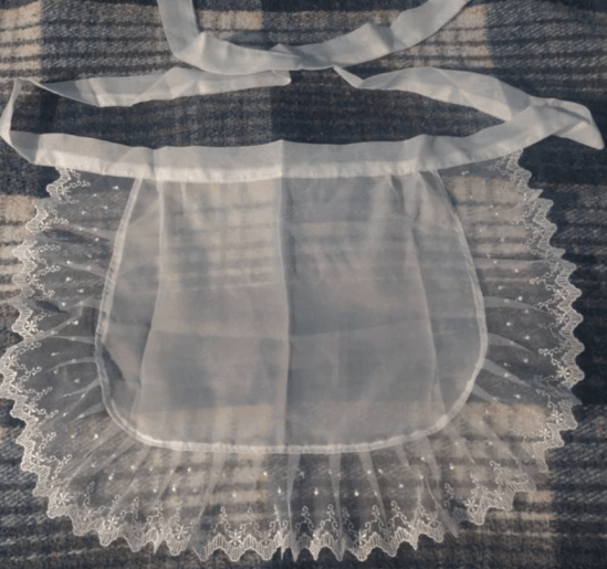 The Apron That Didn’t Do its Job 1 The apron that helped Frank feel better about his cage.