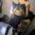 Profile picture of Carmel Dior