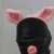 Profile picture of David Lare