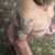 Profile picture of Kendall Strohl